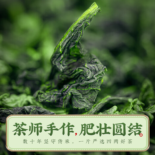 音朗茶叶乌龙茶 特级安溪铁观音 2025新茶正宗高山兰香自己喝袋装500g