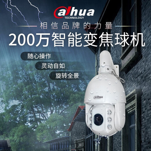 
dahua Dahua ball camera 23x zoom 360 degree rotating cloud billiard machine outdoor waterproof monitor 2 million 23x zoom DH-SD6223-D2-i