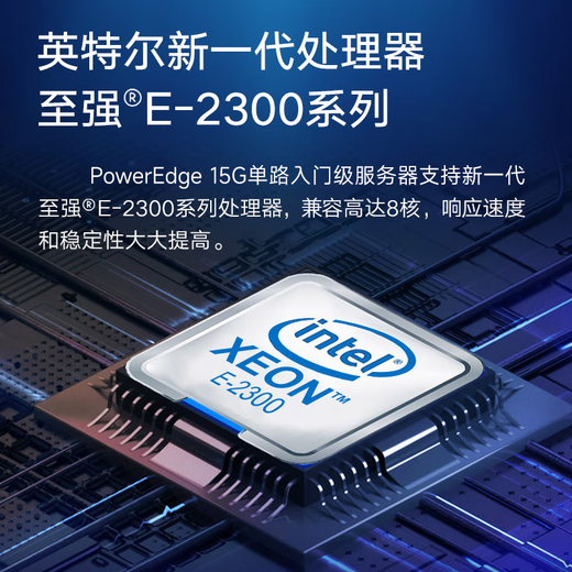 Dell (DELL) R450 4310*2 pieces丨64G丨2 pieces Hynix SE5110 480G 2.5-inch SATA solid state RAID1+ 5 pieces 2.4TB 10K SAS hot-swap RAID5丨PERC H755丨red