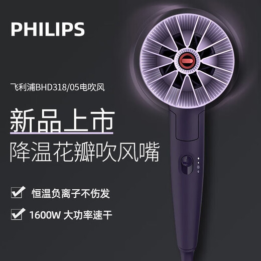 Philips (PHILIPS) hair dryer household hair dryer constant temperature quick-drying high-power hair dryer handle foldable hair dryer BHD318/05