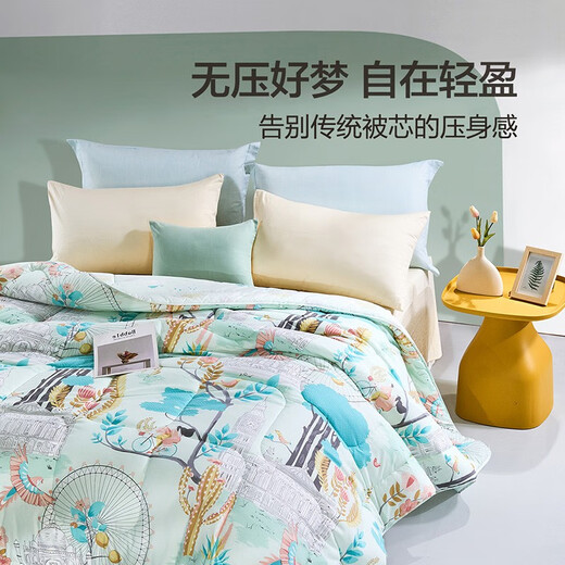 Fu'anna Home Textiles Quilt Core Antibacterial с семи отверстием волокна теплый четыре сезона Студент Студент Одеярь из семи отверстия антибактериального стеганого стеганого одеяла 1,5 м, подходящее для (203*229 см)