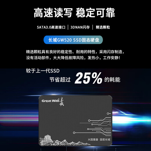 长城（Great Wall） 480GB SSD固态硬盘 SATA3.0接口 读速520MB/S台式机/笔记本通用 GW520系列