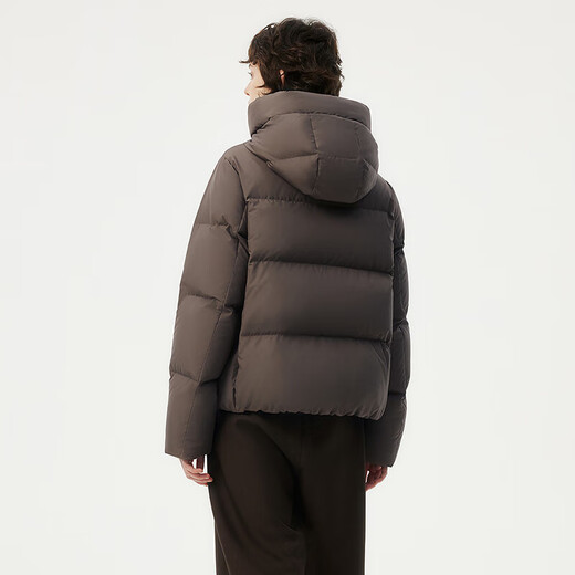 Tambor Down Jacket Women's Short Hooded Versatile Autumn and Winter Small Women's Jacket 330332D Burnt Chestnut Brown 165