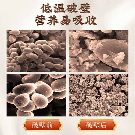 秦鼎泰破壁灵芝孢子粉长白山头道林芝袍子粉提高中老年体质增强免疫力 破壁灵芝孢子粉100克【买3送1 买5送2】