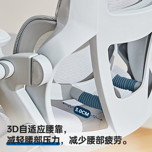 Duanlang U3F four-legged ergonomic chair office reclining seat home study computer chair study chair 702FB gray
