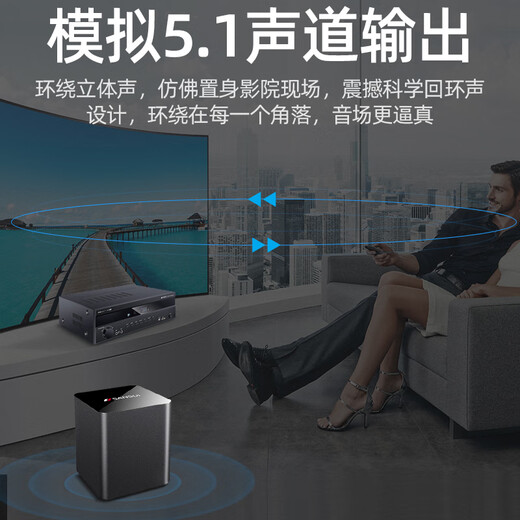 山水（SANSUI）T2 吸顶音响喇叭 5.1家庭影院音响套装 背景音乐客厅 吊顶喇叭 音箱功放家用 T2【900W功放+6.5吋喇叭*5+8吋炮】