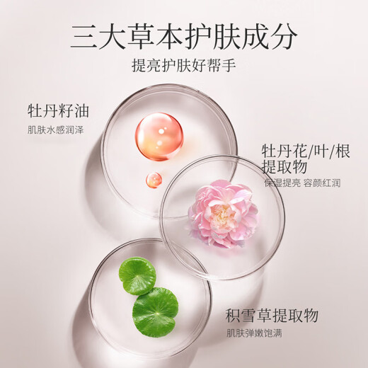 Meikang Fendai Isolation Cream Brightens Skin Color and Covers Imperfections Three-in-One Makeup Primer Lightweight No-Makeup Cream Gift Purple Isolation 30ml