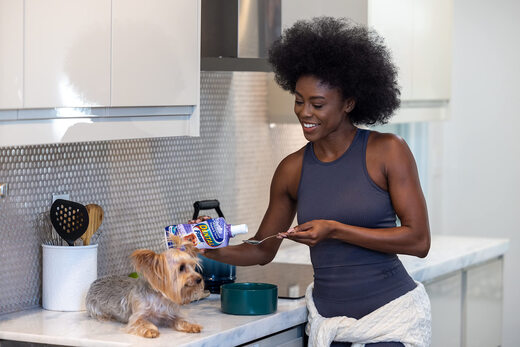 Dental Fresh Pet Mouthwash Oral Care Solution Water for Cats and Dogs to Remove Dental Plaque 237ml 8 Fl.Oz (Approx. 237 ml) * 1 Pack