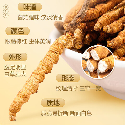 雷允上野生冬虫夏草5根/g 10g约50根那曲虫草礼盒送父母长辈礼物