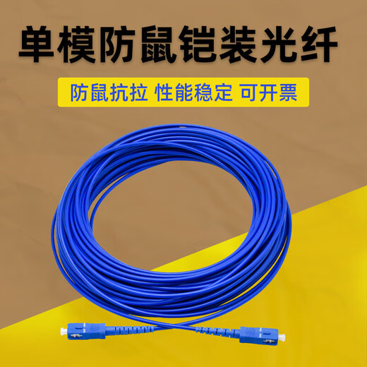 Armored fiber optic patch cord SC to LC-FC-ST rat-proof and tensile-resistant single-mode single-core 10M/30/50m pigtail extension Telecom-grade armored single-mode single-core SC-FC 60m