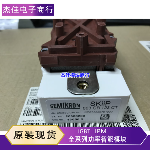 SKIIP603GB123CT SKIIP603GB172CT SKIIP613GB123CT