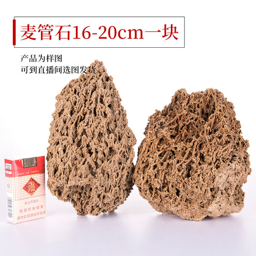 Shiguang Xiaozhan's high-quality gold straw stone, natural water-absorbing stone, rockery, bonsai, strange stone, plant fossil small ornaments, straw stone 16-20cm piece