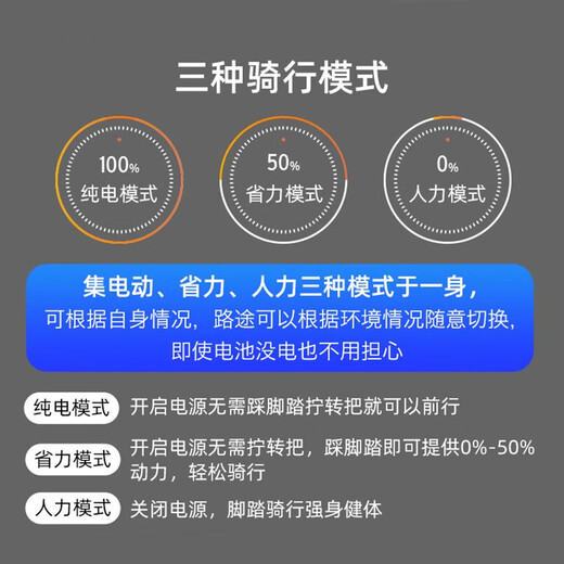 凤凰（Phoenix）新国标电动自行车锂电池助力车山地自行车男女士单车成人电瓶车 699破风轮21速灰色-电动续航40km