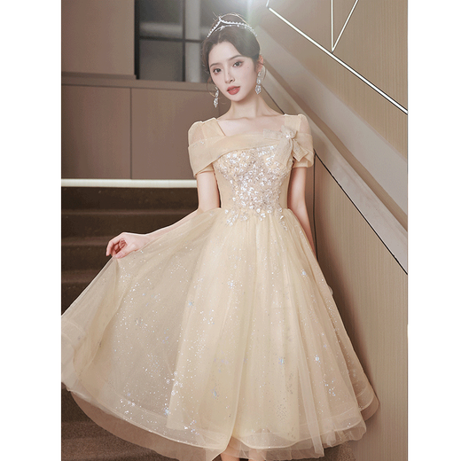 SAIDELE champagne color evening dress 2025 new adult gift small birthday party light luxury niche high-end art exam skirt for women champagne color medium length L (recommended 106-115Jin [Jin equals 0.5 kg])
