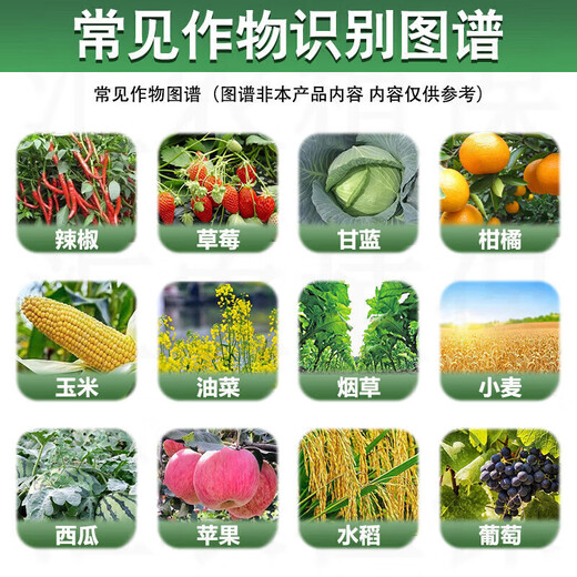 Guoguang plant source 2% benzylaminopurine, rose citrus, apple and bayberry, flowering and sprouting, flower-preserving fruit cell fraction 1000ml