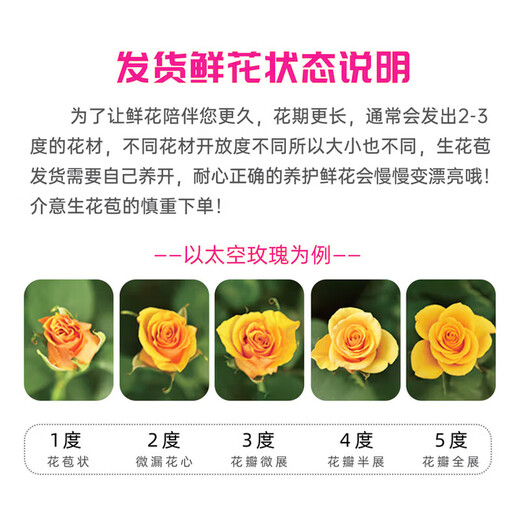 Jingdong Flowers Kunming Base Flower Straight Hair Family Life Flowers Rose Carnation Mix and Match-Fresh as Yi Source Straight Hair