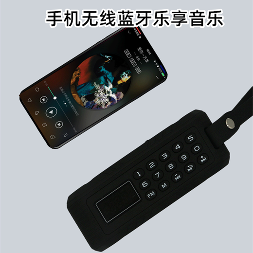 Xiaobawang D100 Bluetooth speaker mini subwoofer with radio outdoor portable card U disk square dance small audio player for the elderly black without card