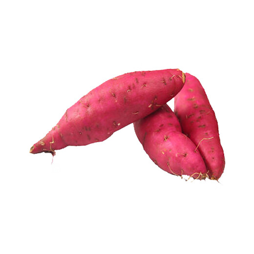 Sugared Chestnut Sweet Potato 600g