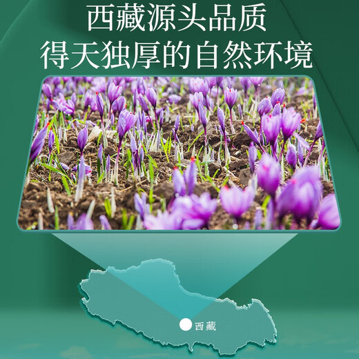 Minnong people’s Tibet’s special saffron gift box selected for women’s nourishing Father’s Day gifts gifts for elders and parents 2 grams of saffron [send tweezers]