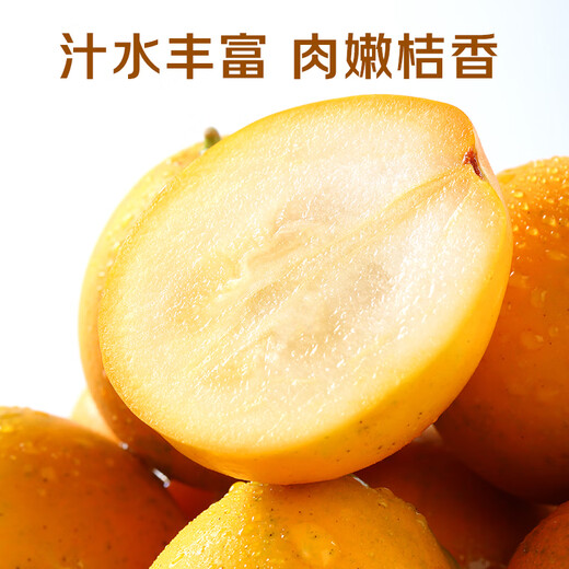 京觅广西融安第二代脆皮金桔 5号果-彩盒3斤装 单果10g+ 源头直发