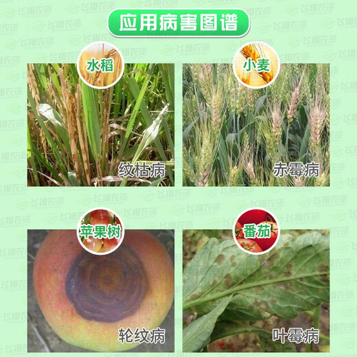 Rissao Jiatuo 70% thiophanate methyl thiophanate methyl apple ring spot disease powdery mildew sheath blight fungicide 20g (authenticity guaranteed)