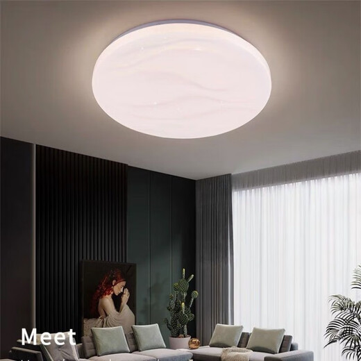 Vinoa modern minimalist bedroom ceiling light balcony light corridor light aisle light room study light starry sky ceiling light cream 40 cm 36 watt warm light