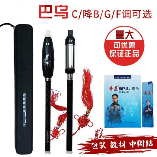 菲铭巴乌竖吹大音量巴乌学生初学单管演奏乐器 F调巴乌+布袋