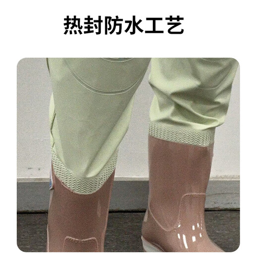 熊火女士下水裤赶海装备大人水裤下半身涉水服全身防水雨裤带雨鞋连体 女款紫色下水裤【3D修身】 37码