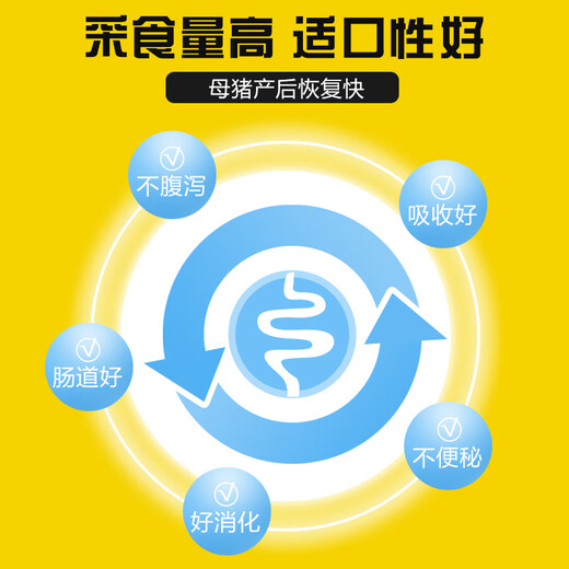 East China Zhengda 8% lactation and pregnancy gilt premix increases milk production, timely estrus, no constipation and fast recovery 8% gilt 1 bag