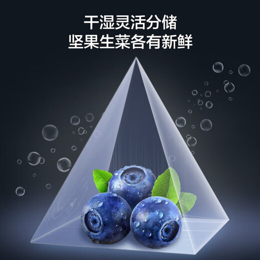 Rongsheng refrigerator 620 liters four-door cross-door large capacity household first-class energy efficiency ultra-thin variable frequency air-cooled frost-free sterilization and deodorization full ecological freshness national subsidy water blue light series BCD-620WD19FP