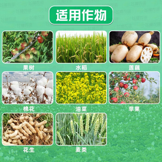 Guoguang Carbendazim plant flowers and vegetables household fungicide rose succulent black spot succulent bituminous black rot anther 50g