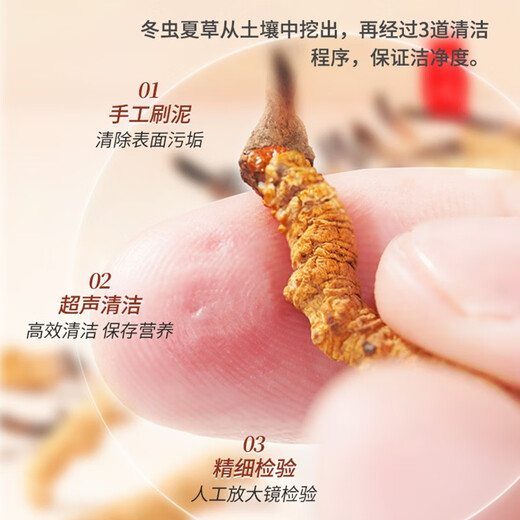 雷允上冬虫夏草 干货虫草手工精选送礼送长辈父亲节礼物滋补品 【家庭款】虫草5g(约15~25根)