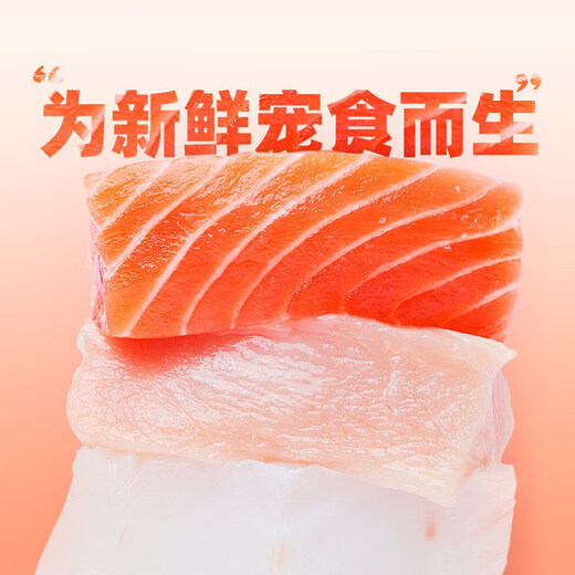 XIANLANG Xianlang Cat Canned Wet Food Kittens and Adult Cat Snacks Xianlang Grain-Free Nutritious Hairy Cats Full Price Staple Food Cans Chicken Flavor 6 Cans 100g*6 Cans (Scratch the code for delivery, please be careful)