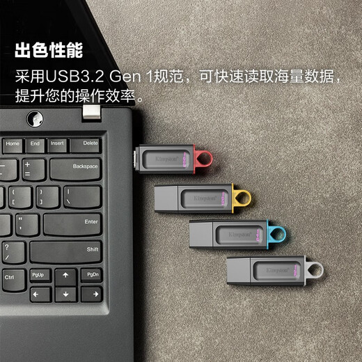 金士顿（Kingston）256GB USB3.2 Gen 1 U盘 DTX 大容量U盘 时尚设计 轻巧便携 学习办公投标电脑车载通用