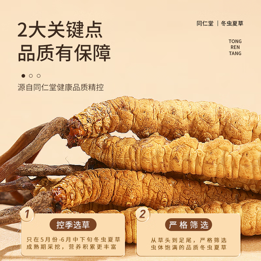 同仁堂品牌冬虫夏草约4-5根/g20g约100根高档礼品滋补品送人北京同仁堂