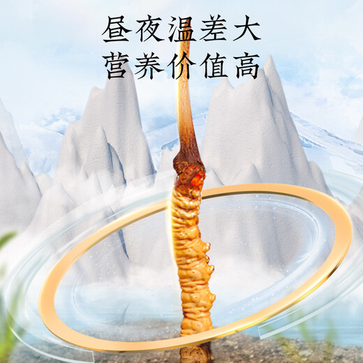 Tongrentang Brand Beijing Tongrentang Produce Youth Cordyceps Gift Box Cordyceps Can be matched with ginseng tonic 1 box 20g [Quality Gold Label] About 80 pieces About 4 pieces/gram