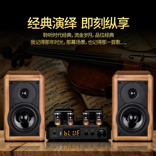 KINGHOPE君豪之音A-2迷你组合音响HIFI发烧电子管双环牛胆机套装功放音响蓝牙U盘家用桌面音箱音响 A2音响+TH108胆机