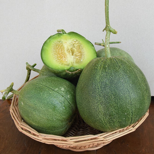 Zhongke Maohua fruit seeds green melon seeds emerald South Korea emerald green jade green skin green flesh melon seeds green jade 600 capsules/bag dark green skin large fruit type
