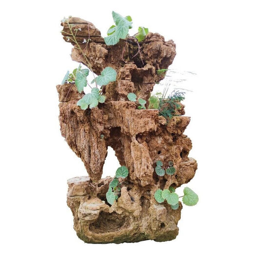 Shiguang Station absorbent stone natural stone bonsai fish tank courtyard large fish pond landscaping absorbent stone original stone water stone bonsai 15-19cm absorbent stone does not include basin