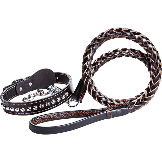 Mastiff Shaobao dog leash, traction rope, dog leash, large and medium-sized dog walking leash, golden retriever collar, pet dog outing supplies, black M size, recommended 30-50 Jin Jin is equal to 0.5 kg