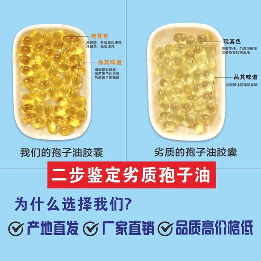 北京同仁堂长白山灵芝孢子油免疫力高三萜破壁灵芝孢子粉野生灵芝 100粒正宗 一盒装[试用装]