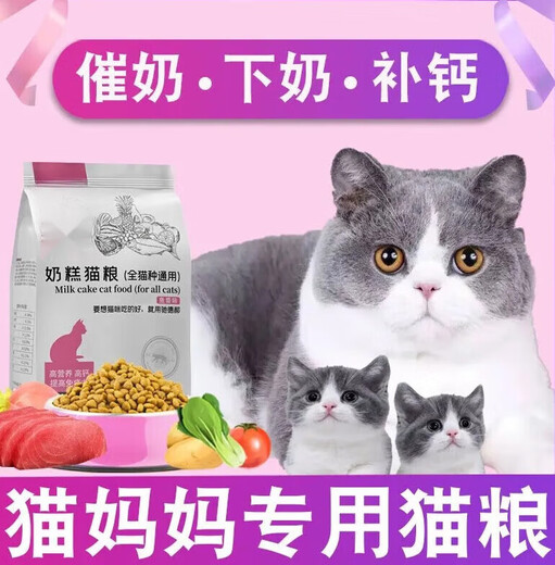 TING HAO Cat Food for Cat Mothers during Lactation, Nutrients for Pregnant Cats, Breastfeeding, Confinement, Mother Cats, Lactation, Postpartum, Fish Flavor Cat Food, 5 Jin Jin is equal to 0.5 kg