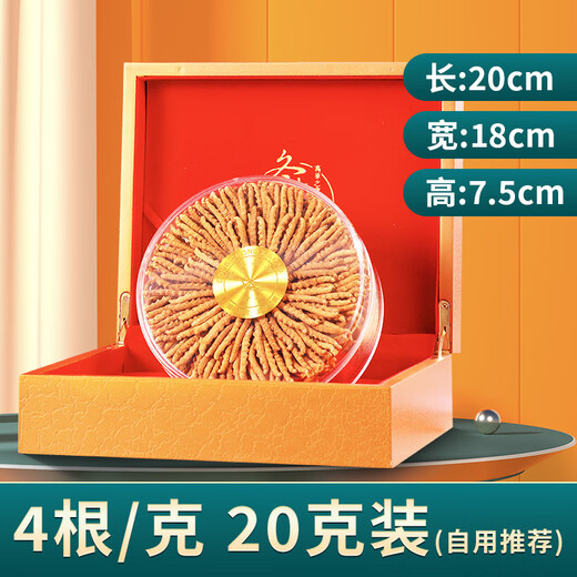 Wojue Cordyceps sinensis selection gift first stubble Cordyceps sinensis whole grass genuine big broken Cordyceps dried goods 10 grams gift box Cordyceps 4 roots/g 20 grams 80 roots in total]