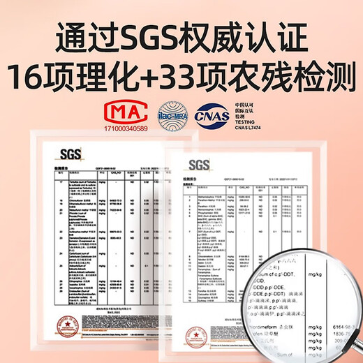 Qilixiang Goji Ningxia première récolte grosses particules imbibées d'eau, de thé et de vin matières premières fruits de petite et moyenne taille Goji rouge Ningxia 250g 580 capsules/50g