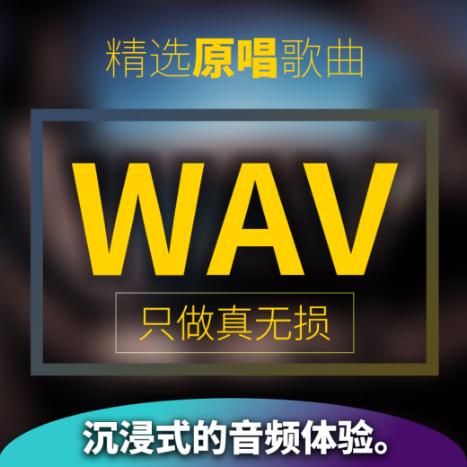 
UECYXOP2024 new car USB song WAV lossless FLAC sound quality lossless high quality Berlin Voice Internet celebrity hot song [WAV] 64G fine tune 1390 songs