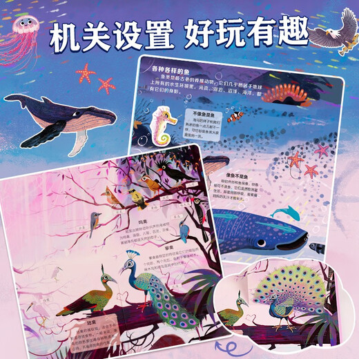 小红花指尖上的博物馆：神奇的动物动物进化儿童读物自然趣味科普认知立体机关书玩具书动物人类恐龙