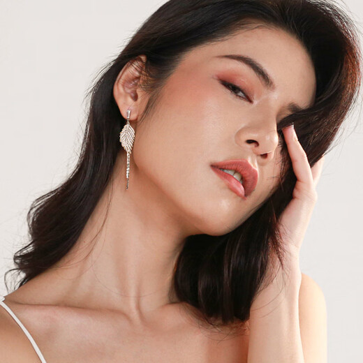 Qlady women's tassel earrings women's fashionable long style 925 silver needle light luxury earrings birthday gift for girlfriend