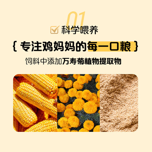 One s Member Store One s Member Lutein can be eaten raw, standard fresh eggs 20 pieces, 55g each, straight from the source One s Member Store One s Member Lutein can be eaten raw, standard fresh eggs 20 pieces, 55g each, straight from the source