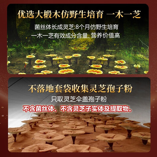 元生泰高三萜灵芝孢子油软胶囊赤灵芝孢子粉精华中老年人营养品保健品 0.5g*24粒/盒（礼盒装）