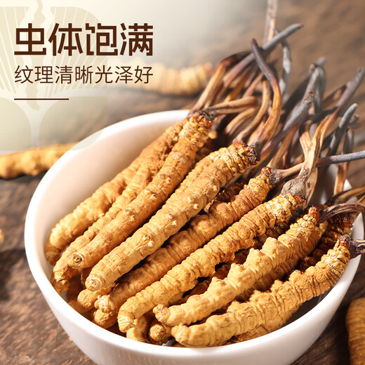 源江草 头茬虫草冬虫夏草20克 约60根 送长辈滋补品礼盒父母礼物
